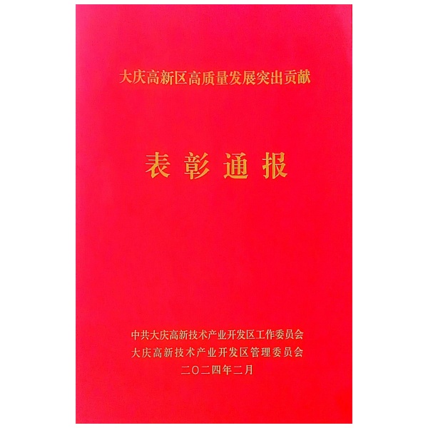 大庆高新区高质量发展突出贡献表彰通报